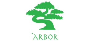 arbor6 | арбор6